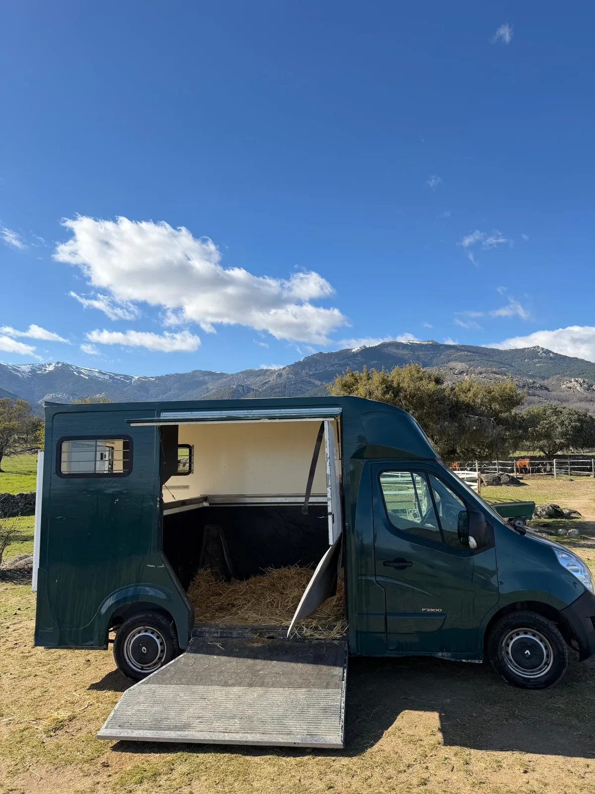 Renault Master verde rampa abierta