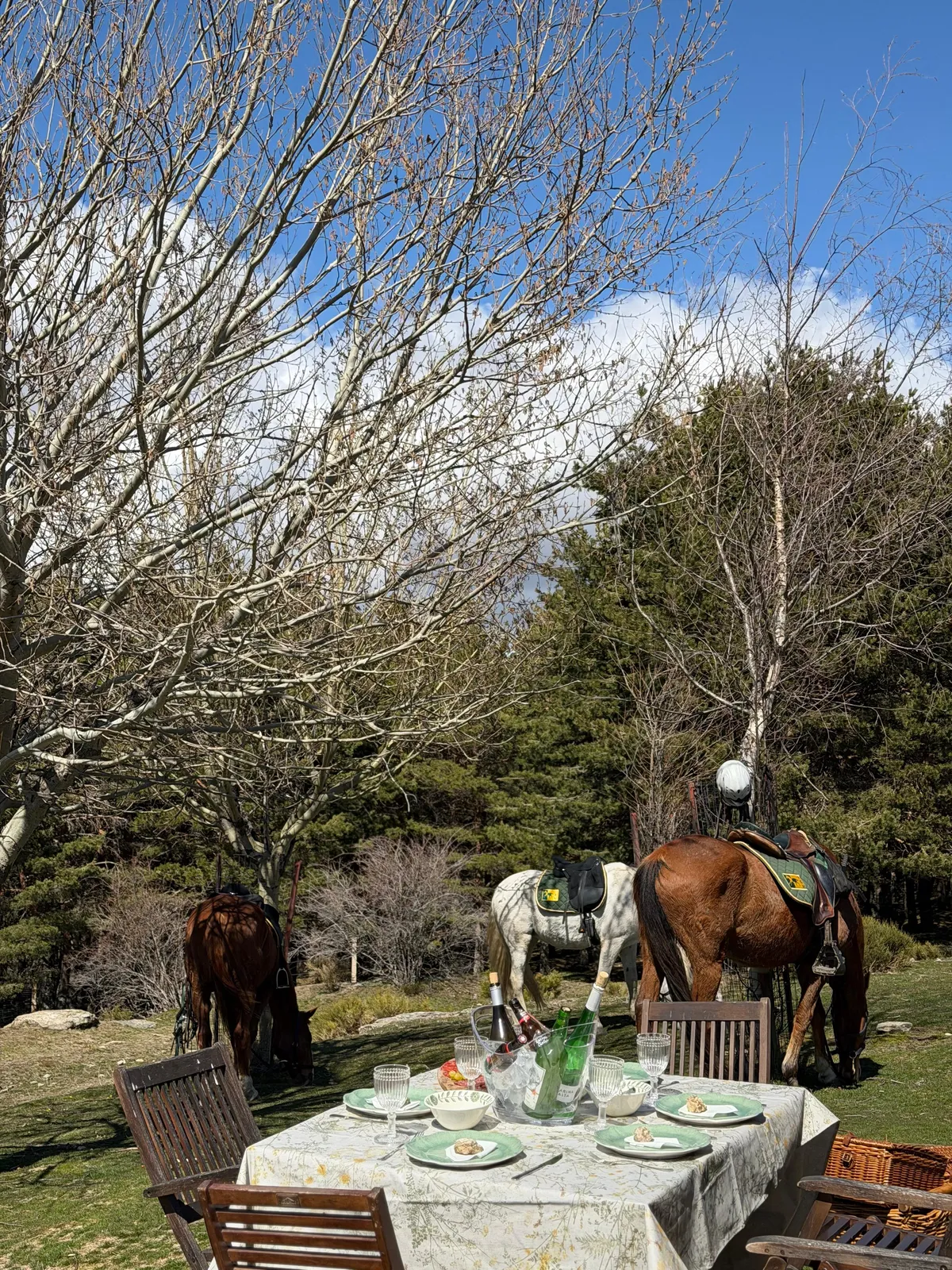 Comida entre caballos