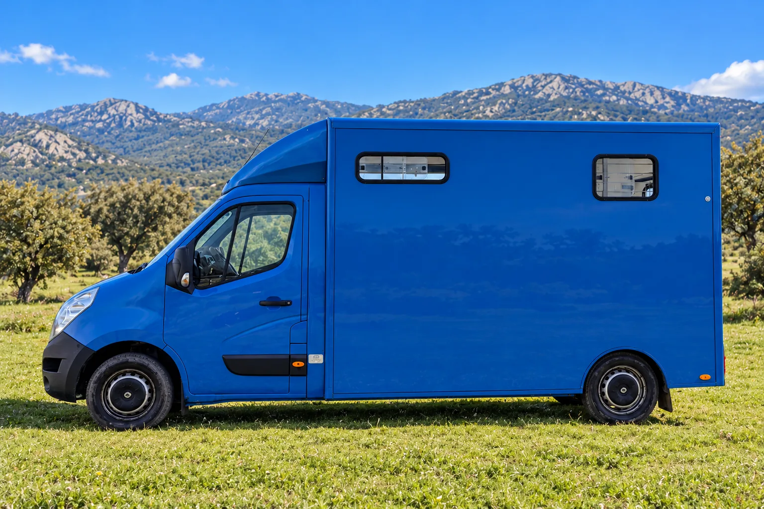 Furgoneta para 2 caballos, Renault Master o similar